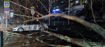 Прикрепленное изображение: изображение_viber_2021-11-29_19-41-32-653.jpg